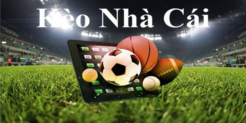 Cách soi kèo nhà cái chuẩn xác từ các chuyên gia hàng đầu 1 Sơ lược thông tin về việc soi kèo nhà cái