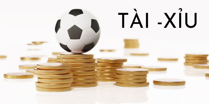 Cách chơi tài xỉu luôn thắng bứt phá mọi giới hạn, rào cạn 4 Quản lý tài chính hiệu quả giúp giảm rủi ro kinh tế cực tốt