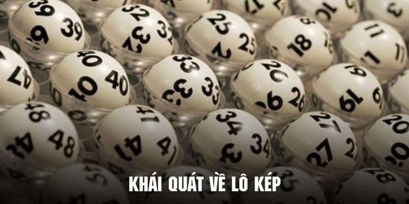 Lô kép rồng bạch kim mang đến cơ hội đổi đời cho lô thủ 2 Giới thiệu lô kép là gì cho các tân binh