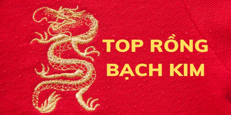 Lô top Rồng Bạch Kim với phương pháp dự đoán siêu hiệu quả 1 Bật mí thông tin cơ bản về lô top Rồng Bạch Kim
