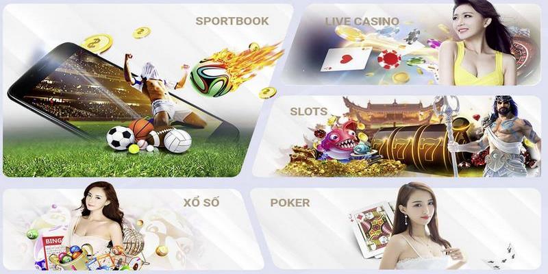 Nhà cái uy tín mang đến cho bet thủ những dịch vụ cá cược chất lượng nhất Nhà cái uy tín mang đến cho bet thủ những dịch vụ cá cược chất lượng nhất