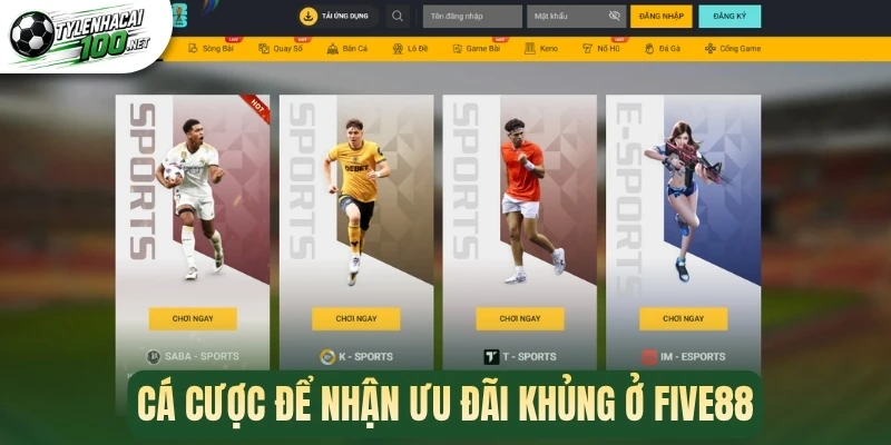 Cá cược để nhận ưu đãi khủng ở Five88