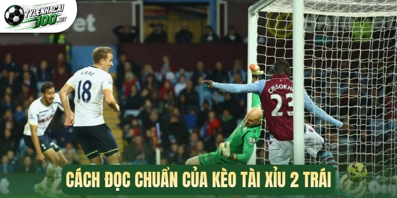 Tài Xỉu 2 Trái - Phân Tích Các Mẹo Cược Để Thắng Đến 95% 2 Cách đọc chuẩn của kèo tài xỉu 2 trái