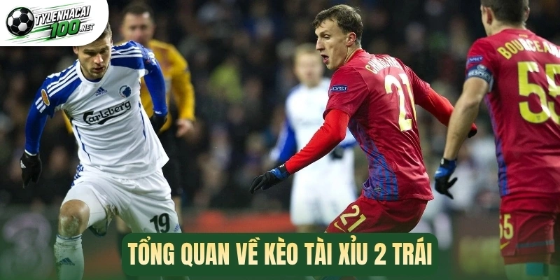 Tài Xỉu 2 Trái - Phân Tích Các Mẹo Cược Để Thắng Đến 95% 1 Tổng quan về kèo tài xỉu 2 trái