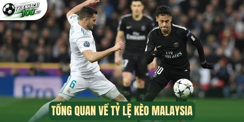 Tỷ Lệ Kèo Malaysia - Hướng Dẫn Cách Tham Gia Cực Chuẩn 1 Tổng quan về tỷ lệ kèo Malaysia