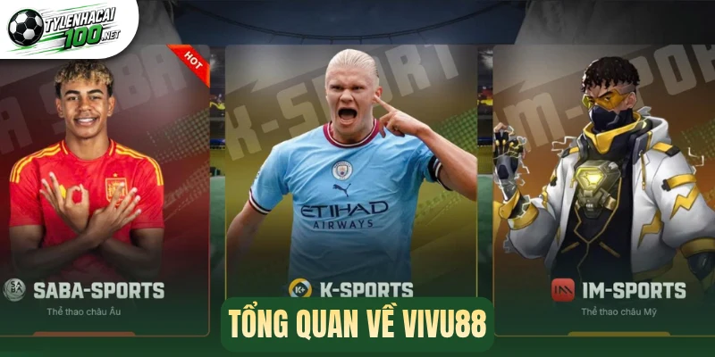 Vài nét về Vivu88