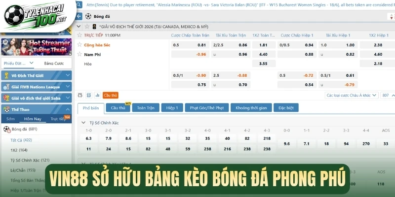 Vin88 - Nhà Cái Cá Cược Bóng Đá Online Uy Tín Châu Á 3 Vin88 sở hữu bảng kèo bóng đá phong phú